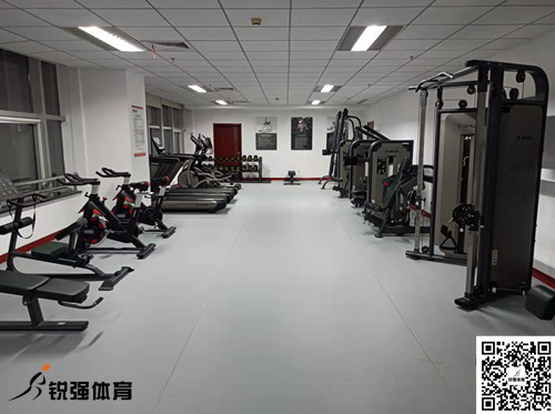 濟(jì)南某集團(tuán)采購(gòu)的leyu.樂(lè)魚體育提供的健身器材