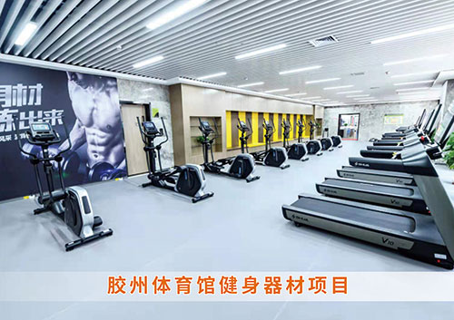 ?leyu.樂(lè)魚體育為膠州體育館打造的健身房